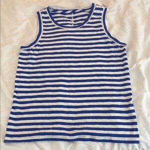 Blue and White Striped Tank Top (J crew)